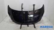 Motorhaube Peugeot 207 CC 7901N2