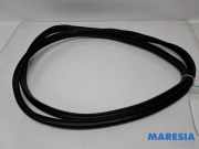 Türgummi links vorne Citroen C1 II B000820880