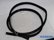 Türgummi links vorne Renault Twingo III BCM 808323410R