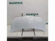 Motorhaube Renault Kangoo II Rapid FW0 7751478148