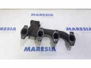 Auspuffkrümmer Citroen Jumper I Kasten 244 0341N9