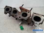 Auspuffkrümmer Peugeot 307 0341G2