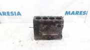 Motor ohne Anbauteile (Benzin) Citroen Jumper I Kasten 244 814043S