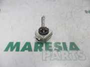 Glühlampe Xenon Renault Megane II BM/CM 7701062188
