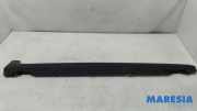Schutzleiste Schweller Citroen C3 III SX 9813817380