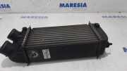 Ladeluftkühler Peugeot 207 9651280680