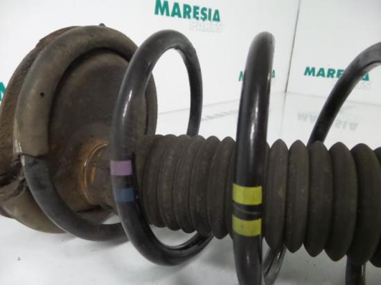 Federbein links vorne Peugeot 307 5202EA Bild Federbein links vorne Peugeot 307 5202EA