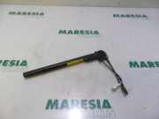 Gurtstraffer Renault Clio III BR0/1, CR0/1 8200454674