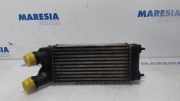 Ladeluftkühler Peugeot Partner II Kasten 9682434580
