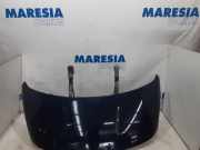Motorhaube Peugeot 3008 I 7901Q8