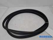 Türgummi links hinten Fiat Panda 312, 319 52062222