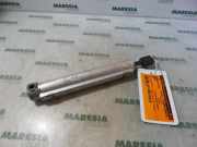 Verdeckpumpe Peugeot 207 CC 8446Q2