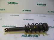 Federbein rechts vorne Peugeot 407 5202NZ