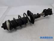 Federbein links vorne Fiat Panda 312, 319 51926520