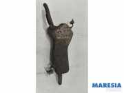 Endschalldämpfer Citroen C4 II Grand Picasso 1613254480