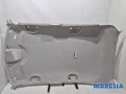 Verkleidung Dachrahmen Fiat 500L 351 735566396