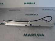 Schiebedach Renault Grand Scenic II JM