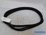 Türgummi rechts vorne Citroen C1 II B000807480