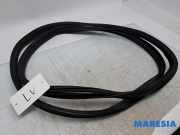 Türgummi links vorne Citroen C1 II B000807480