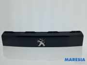 Zierleiste Peugeot 2008 II UD, US, UY, UK 1674244180