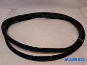 Türgummi links vorne Fiat 500 312 51829202