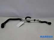 Kühlerschlauch Alfa Romeo Giulia 952 50547687