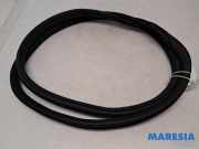 Türgummi links hinten Citroen C3 III SX 9813059680