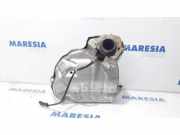 Auspuffkrümmer Renault Clio III BR0/1, CR0/1 8200119714