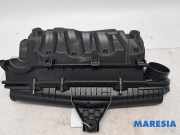 Luftfiltergehäuse Citroen C4 II B7 1420V6