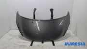 Motorhaube Peugeot 207 CC 7901N2