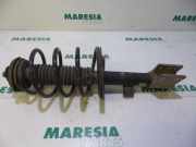 Federbein links vorne Peugeot 307 5002FT