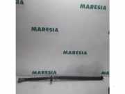 Kardanwelle Citroen C-Crosser VU, VV