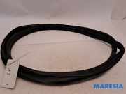 Türgummi links vorne Fiat 500 312 51829202