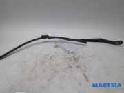 Wischerarm vorne Citroen DS4 NX 9687494480