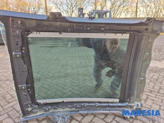 Panoramadach Peugeot 5008 I 8401XC Bild Panoramadach Peugeot 5008 I 8401XC