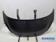 Motorhaube Peugeot 207 SW WK 7901N2