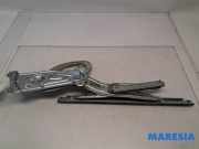 Fensterheber rechts hinten Renault Scenic III JZ 827208148R