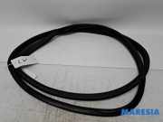 Türgummi links vorne Citroen C3 III SX 9813059580