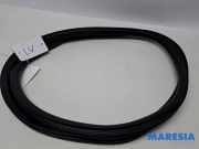 Türgummi links vorne Citroen C4 II Grand Picasso 9676258980