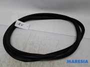 Türgummi rechts vorne Citroen C3 III SX 9813059580