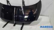 Motorhaube Fiat 500 312 52009424