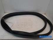 Türgummi links hinten Renault Zoe BFM 769232904R