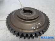 Zahnrad für Nockenwelle Renault Grand Scenic III JZ 130241751R