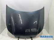 Motorhaube Citroen C5 III Break RW 7901P3