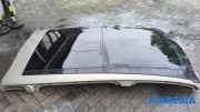 Schiebedach Renault Espace V JR 912106913R