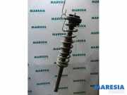 Federbein rechts hinten Renault Twingo I C06 8200192913