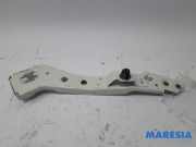 Frontblech Renault Megane III Coupe DZ 6251206E
