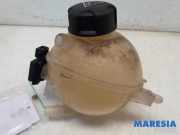 Ausgleichsbehälter Peugeot 3008 I 130381