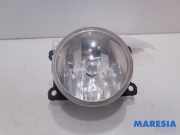 Nebelscheinwerfer links vorne Citroen C3 II SC 9685425280
