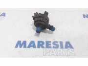 Wasserpumpe Renault Master III Kasten FV 144B00004R